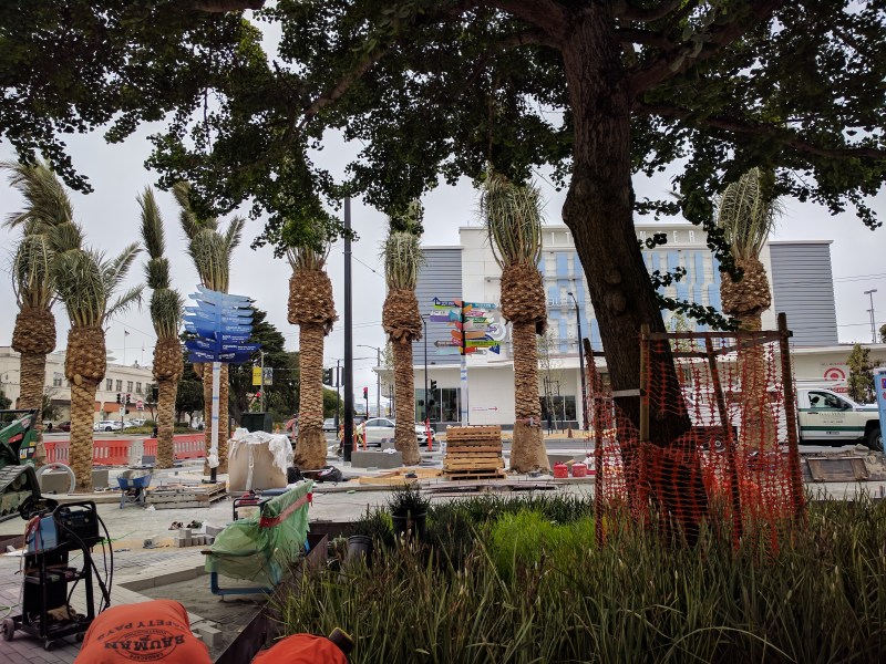 Landscaping under way at Geary and Masonic. All photos Streetsblog/Rudick