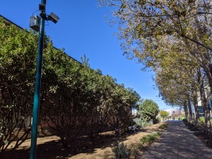 Bike sensors at the top of this tower trigger a flashing light at the next intersection
