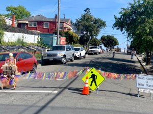 Brookdale slow street. Photo: Dave Campbell