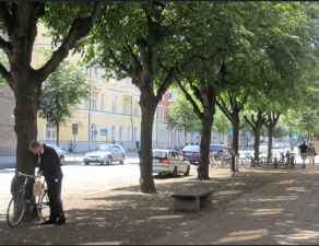 Source:Creative Commons.