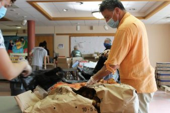 Food for Free volunteers work in small groups to encourage social distancing. After sorting, the bags of food are then loaded into volunteer’s vehicles and distributed throughout the Cambridge area. Photo by Olivia Box.