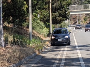 Lilia Scott took this pic Friday at 3:26 to report the motorist to 311. Moments later, she was fleeing for her life with her daughter up the embankment to the left. Photo: Lilia Scott