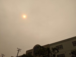 Photo: Streetsblog/Rudick