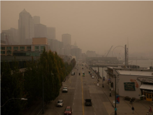 Image: Lindsey Wasson via Creative Commons