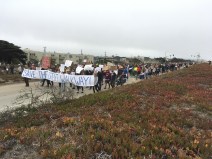 Photo: Walk SF