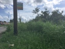 Terrible bus stops like this one make it hard to convince people to use transit.
