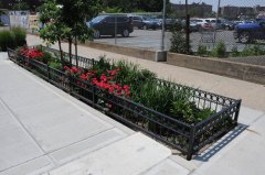 A curbside rain garden in Queens. Photo: NYC DEP