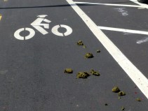 Photo of poop from SFPD horses on the Terry Francois Protected Bike Lane in 2019. Photo: Streetsblog/Rudick