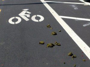 Photo of poop from SFPD horses on the Terry Francois Protected Bike Lane in 2019. Photo: Streetsblog/Rudick