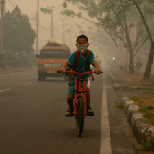 Image: CIFOR, CC