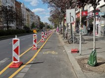 A COVID-era pop-up bike lane in Berlin. Image: SupapleX, CC