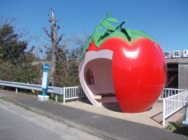 A tomato-shaped bus stop in Nagasaki, Japan. Image: STA3816, CC