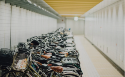 Photo: Stocksnap via Pixabay, CC