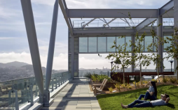 What was once a penthouse full of chiller units for an office building, became a roof deck garden for residential units. Image: Emerald Fund